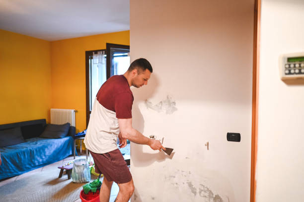 Mold Removal Process in Unionville, MO